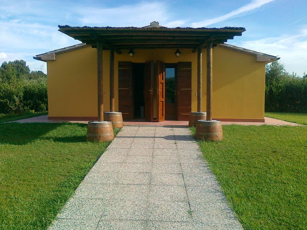 Agriturismo Eucaliptus Bolgheri Exterior foto